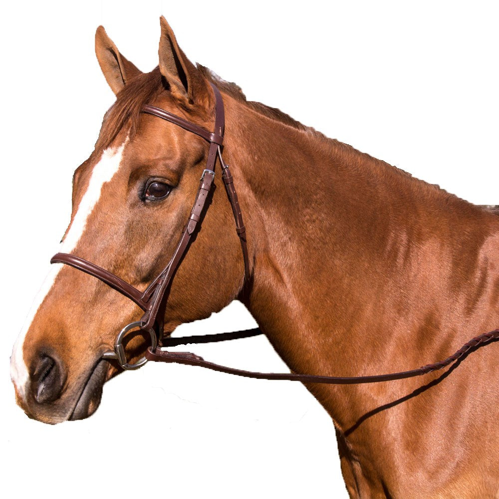 Legacy Plain Raised Bridle