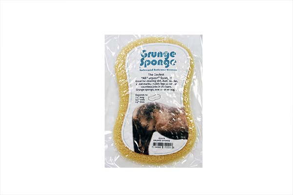 Grunge Sponge