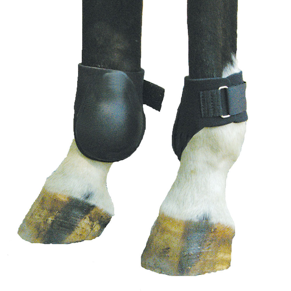 Ankle-Fetlock Neoprene Boots - Large/Black