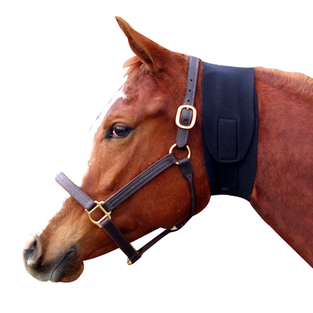Neoprene Jowl Sweat