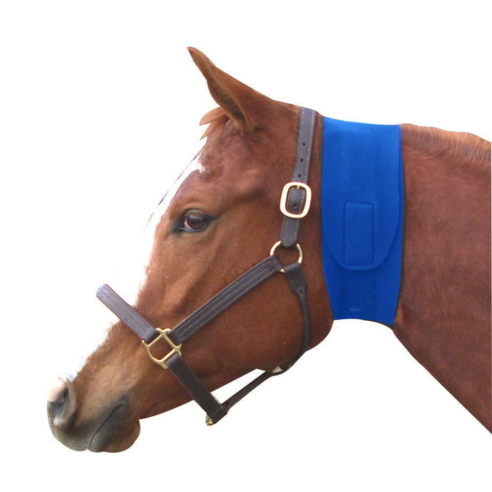 Neoprene Jowl Sweat