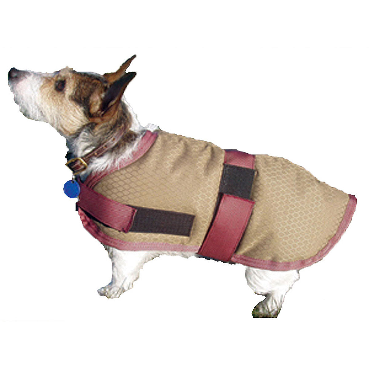 High Spirit Waterproof Insulated Dog Coat