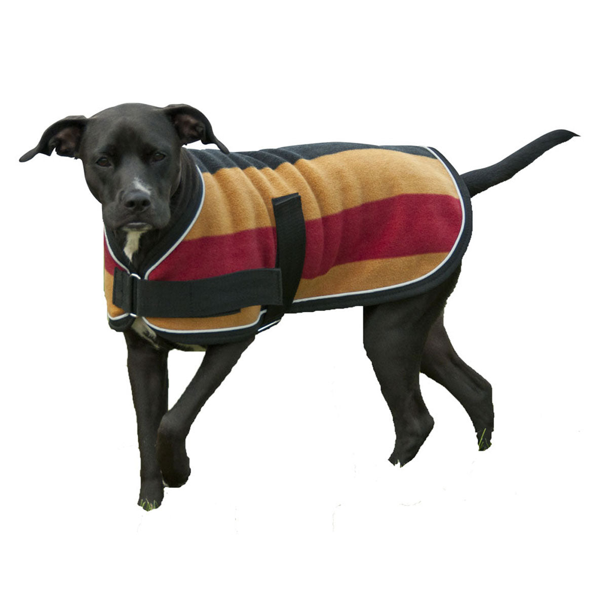Traditional Double Fleece Dog Blanket - Whitney Stripe