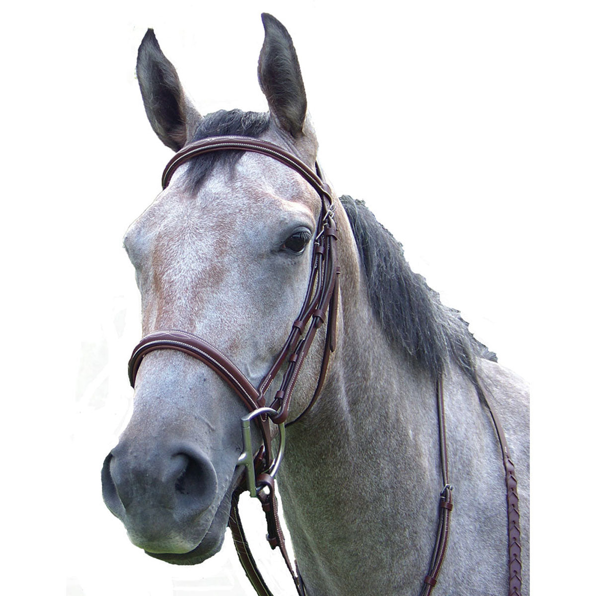 Pro-Trainer Silver Fancy Raised Padded Bridle - Brown