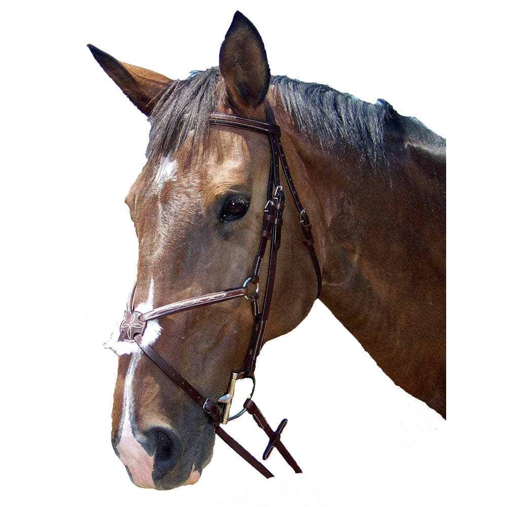 Pro-Trainer Silver Fancy Raised Padded Figure 8 Bridle - Brown
