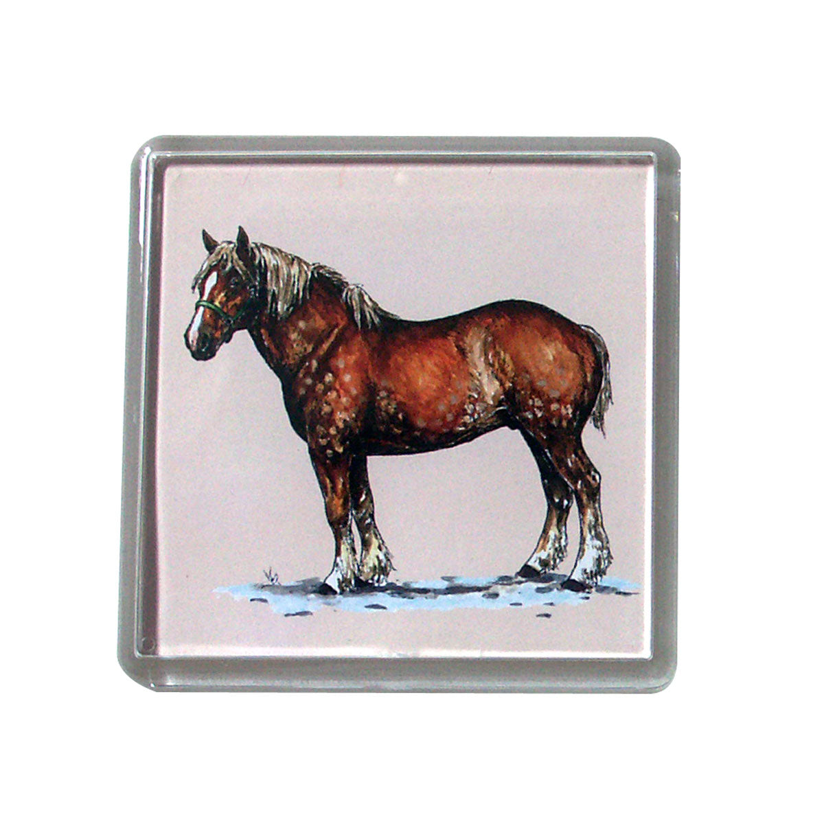 Belgian Magnet - 6/Pack