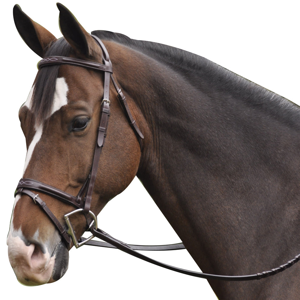 Exselle Plain & Fancy Bridle with Flash