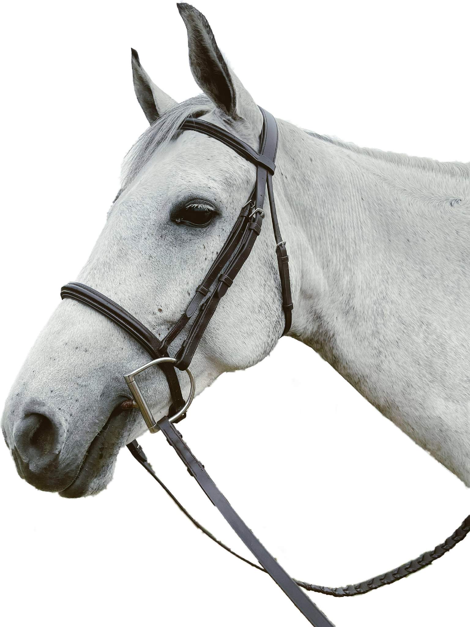 Exselle Event Plain Raised Padded Bridle and Laced Reins without Flash