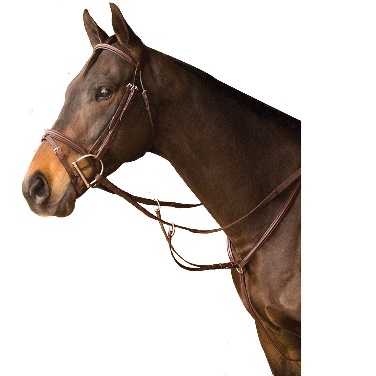 exselle event plain raised padded bridle and laced reins with flash