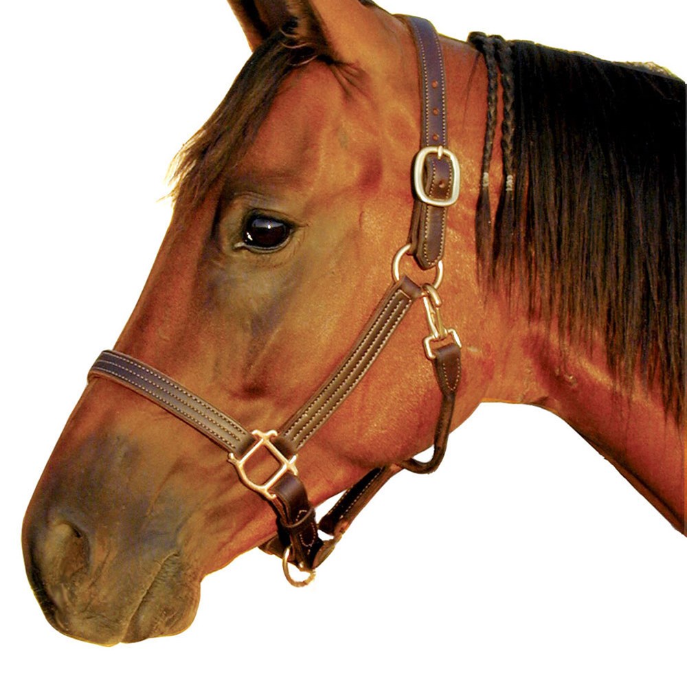 1" Triple Stitched Halter with Solid Brass Hardware