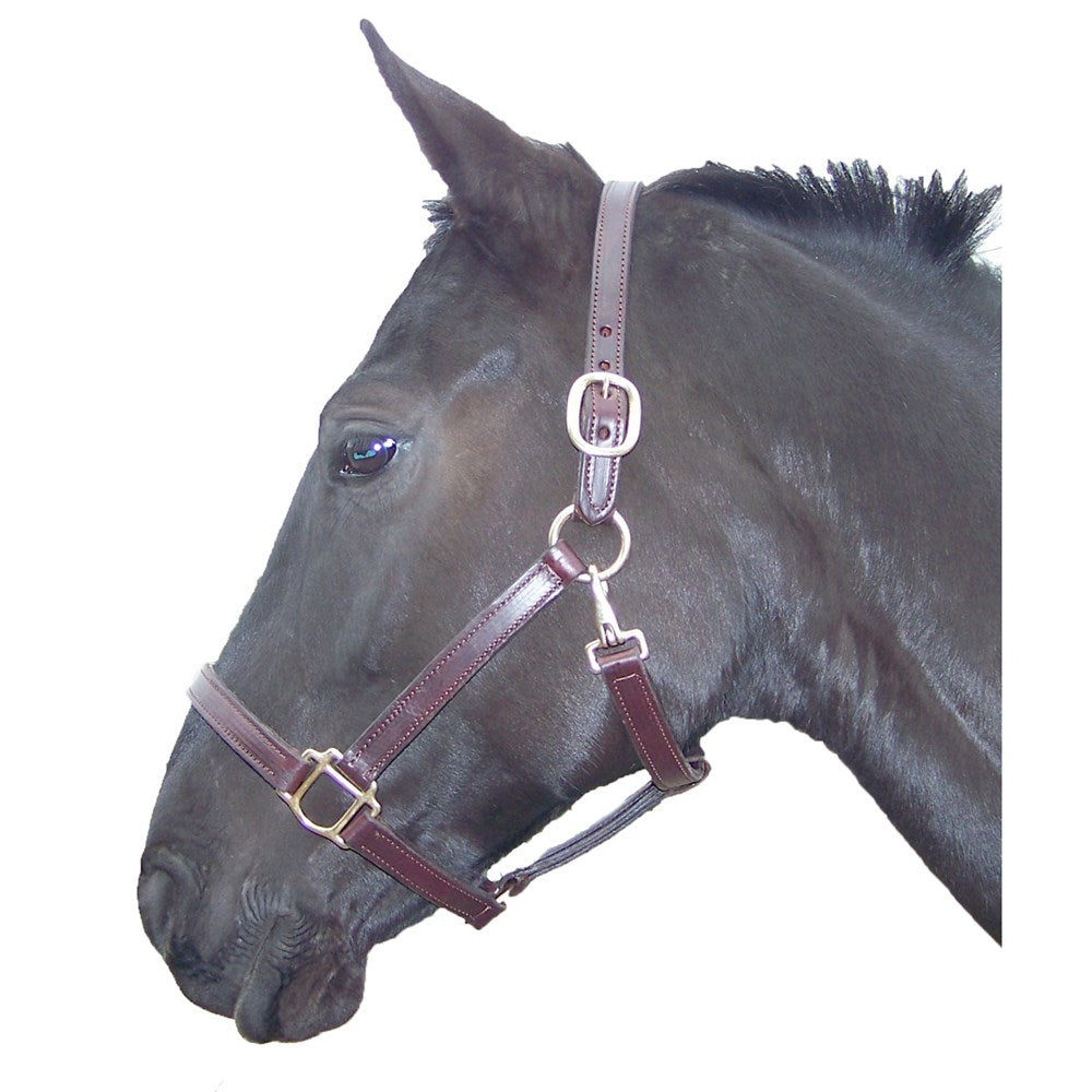 Pro-Trainer Halter with Snap Brown