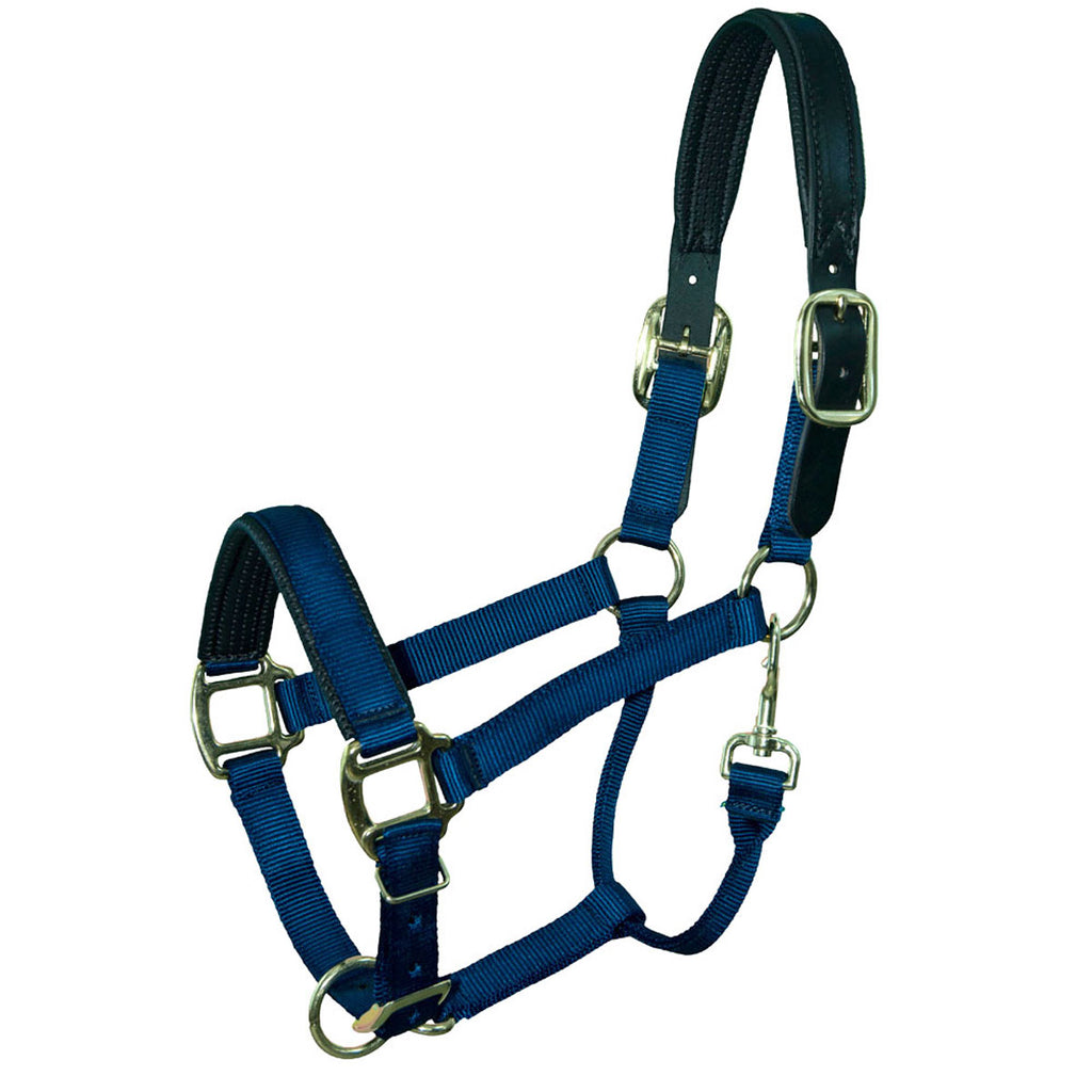 Kensington Premium Padded Nose Horse Halter - Stronger Than Leather, 1" Nylon, With Throat Snap For Consistent Fit