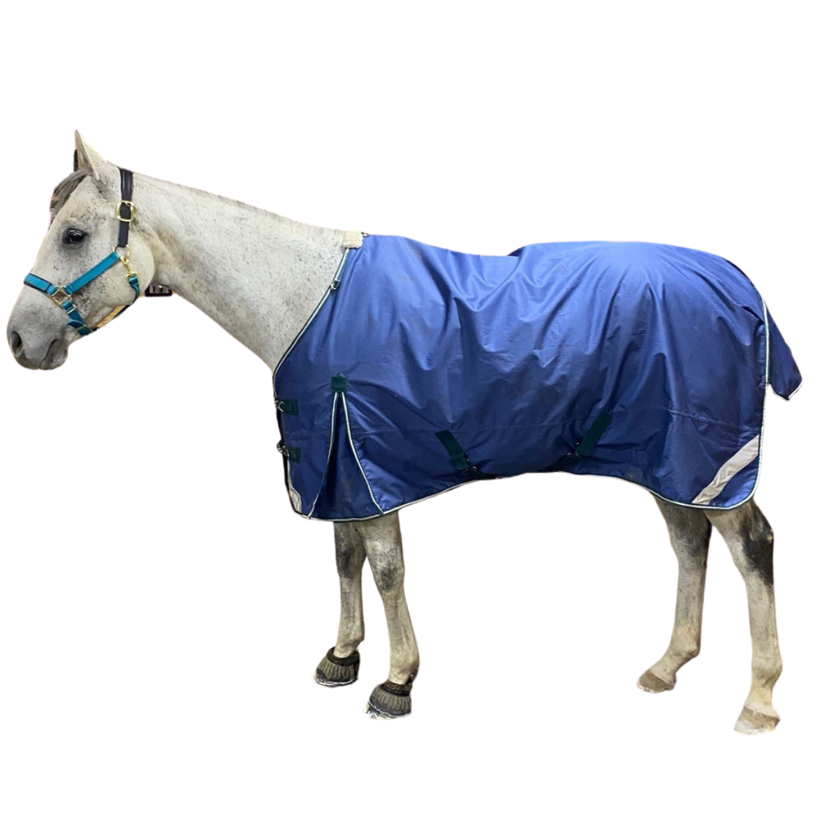 Pro-Trainer Turnout Blanket with Detachable Neck Cover, 1200D - Navy